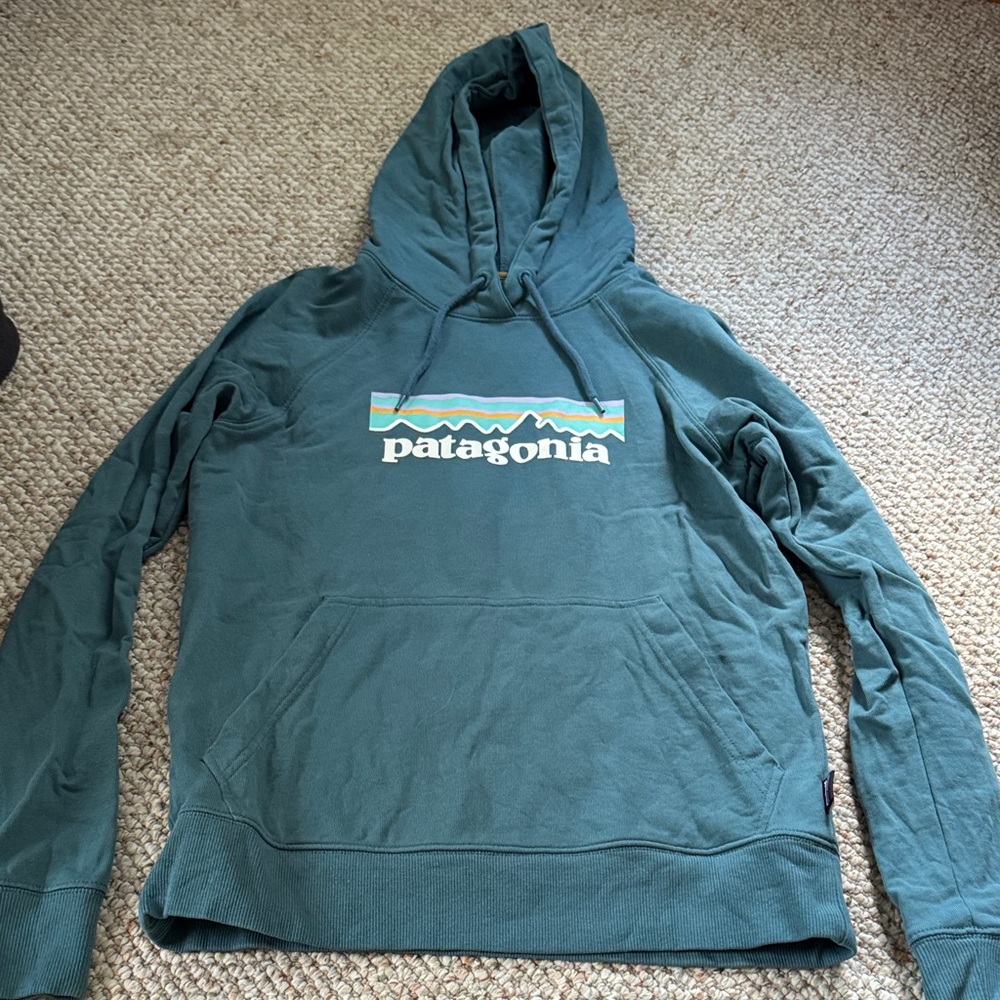 Patagonia Women's Teal Hoodie Size XS